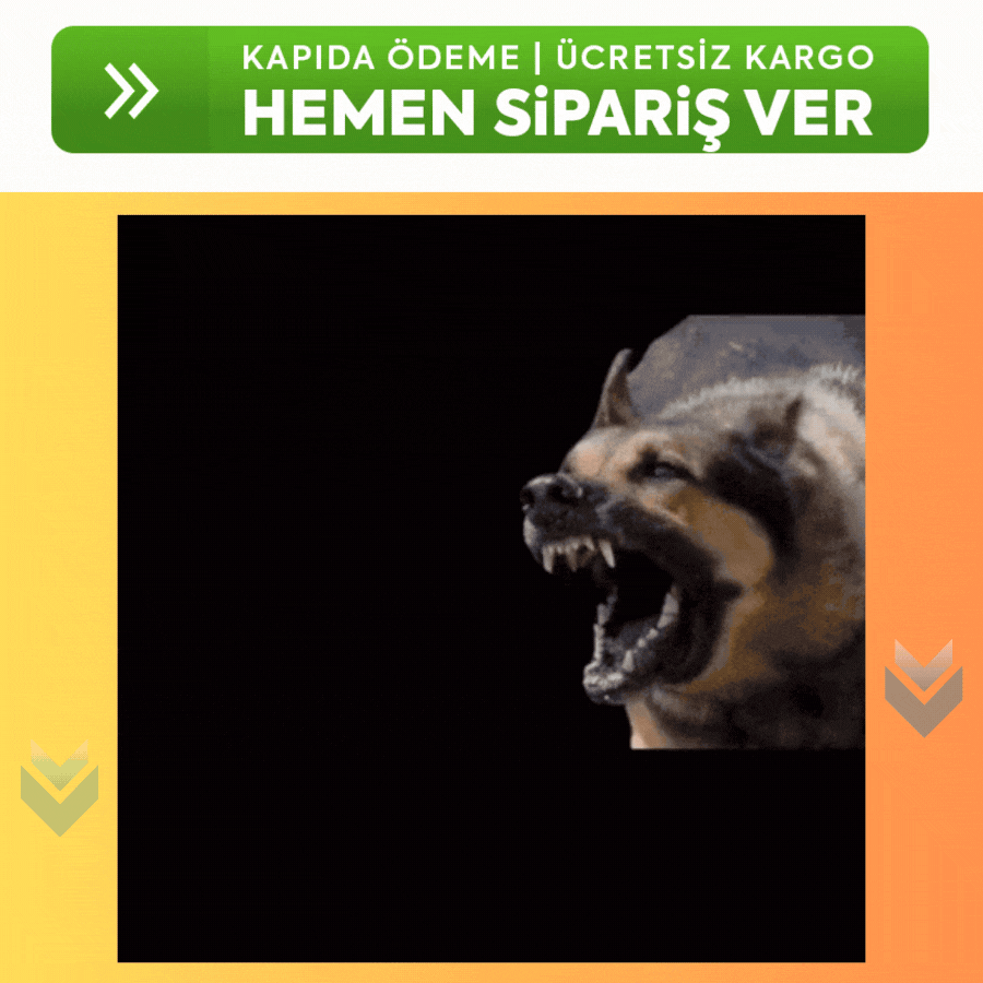 Köpek Eğitici Ürün Tanıtım Videosu