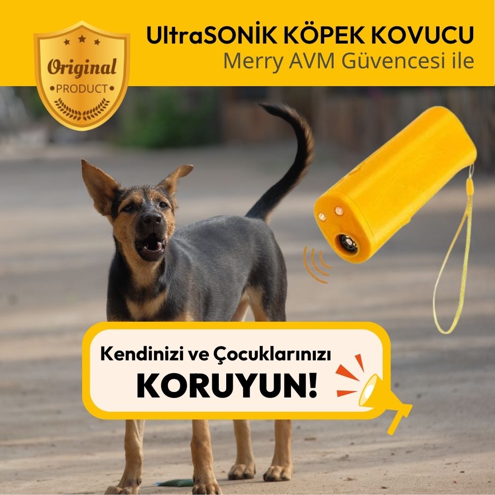 UltraSonik Köpek Kovucu Ürün, Köpek Eğitimi